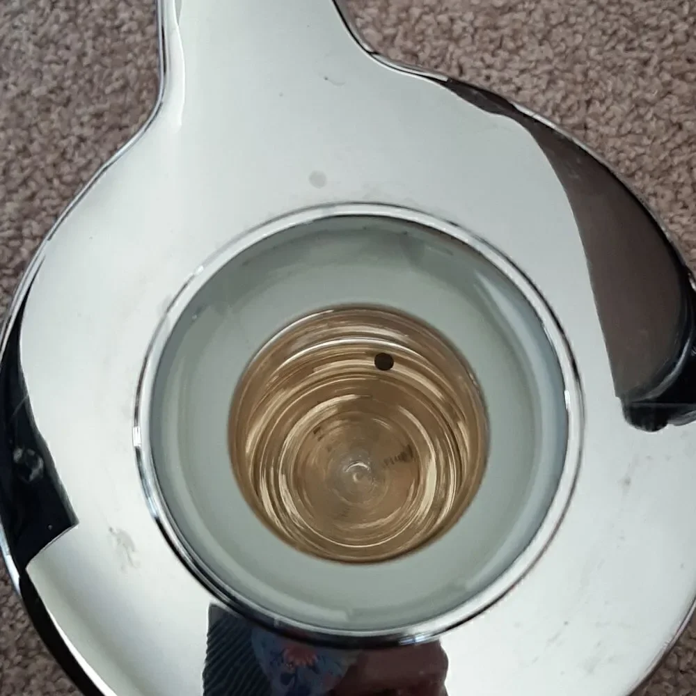 Vintage The Peacock Vacuum Bottle
